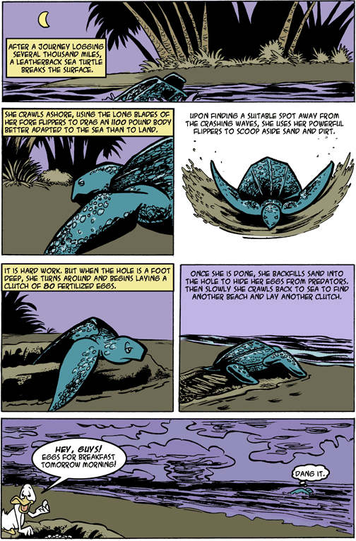 Long Way From Home - Page 1